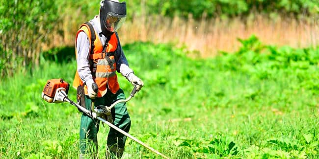 limpieza-y-desbroce-de-parcelas-min